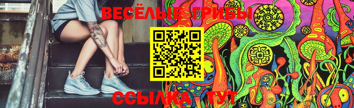 Галлюциногенные грибы Cubensis  Вход с VPN  Берёзовский 