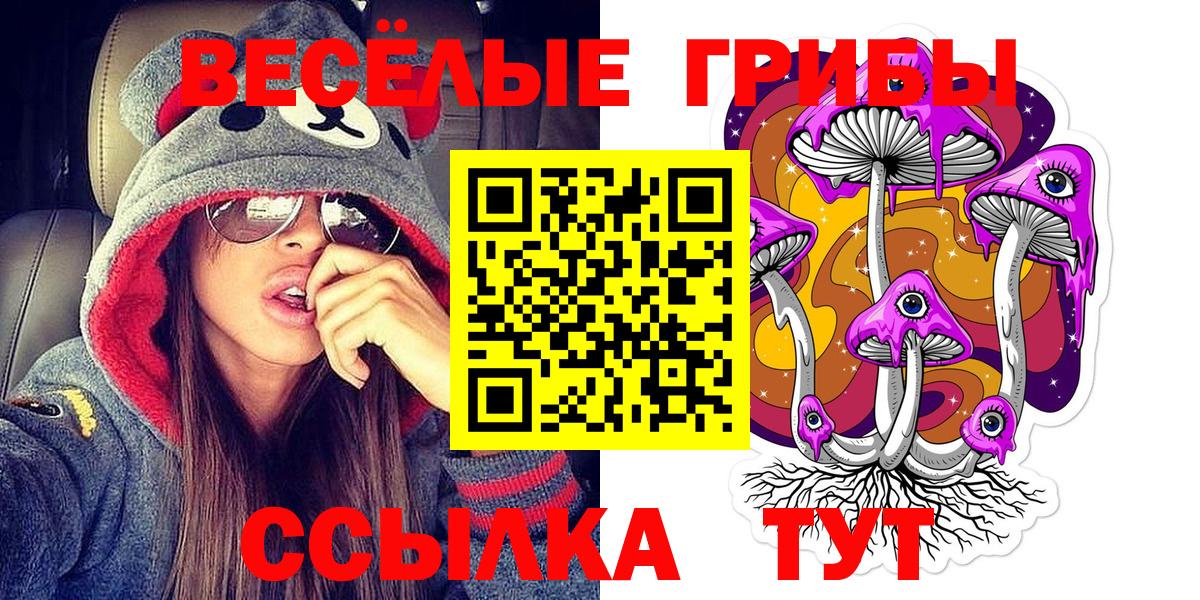 Галлюциногенные грибы Psilocybine cubensis Берёзовский